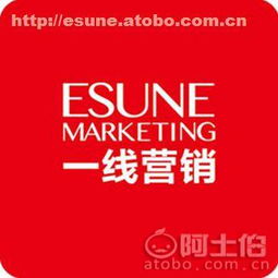 从0到1打造一线品牌的全案策划指南